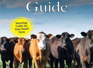 Cattle Guide